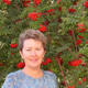 evgenia, 70
