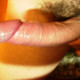 , 33