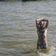 nikolai, 62
