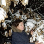irin, 67