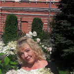, 53